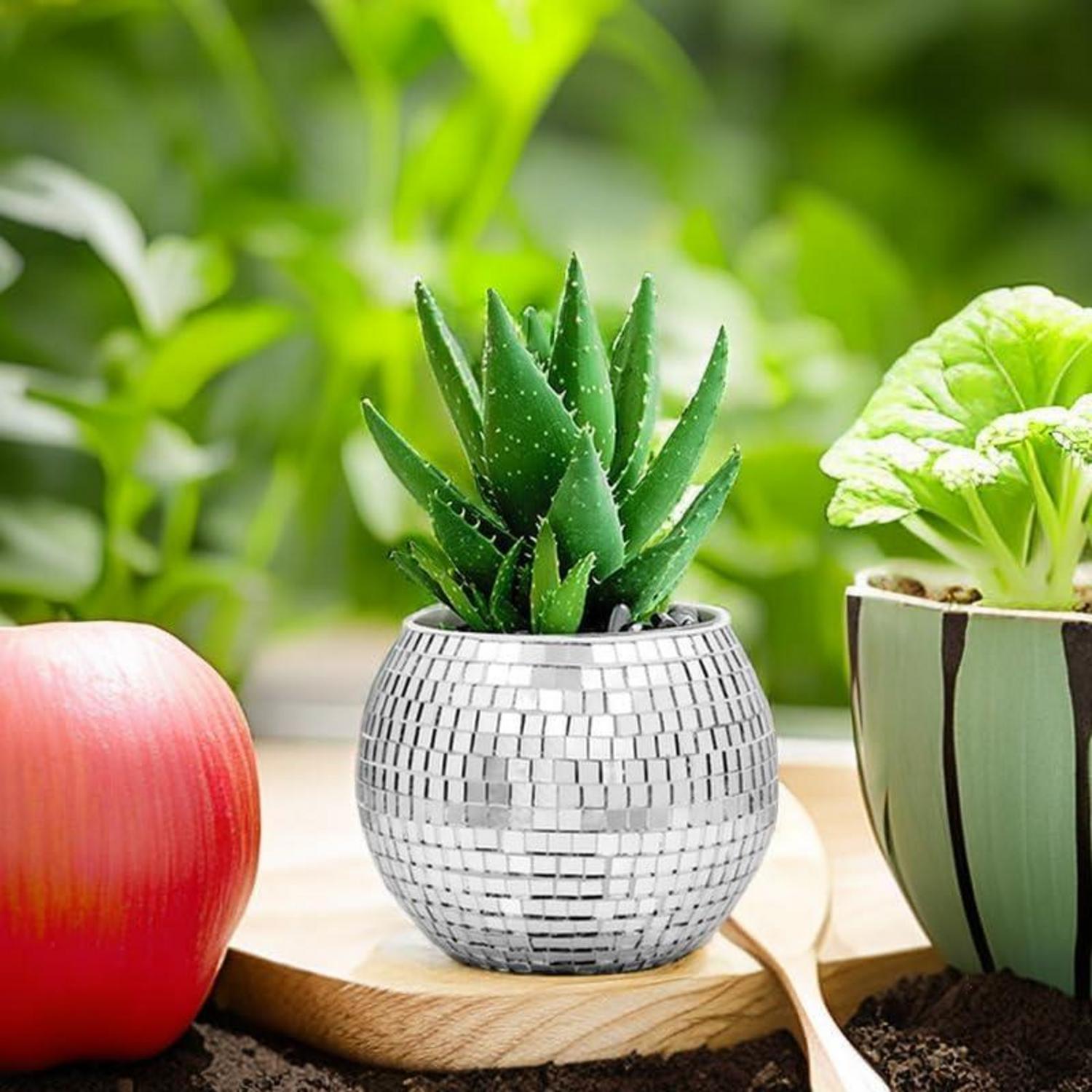 Qiumyanlod Discokugel Blumentopf Silber Glas Disco Kugel Pflanzgefäß 10*12*12 cm