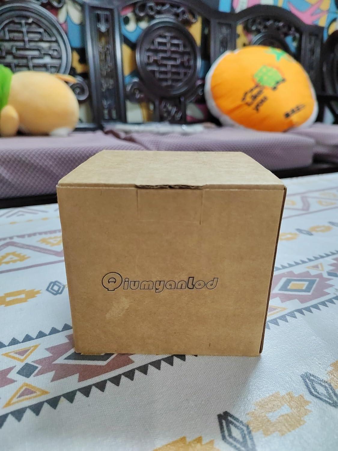 Qiumyanlod Discokugel Blumentopf Silber Glas Disco Kugel Pflanzgefäß 10*12*12 cm