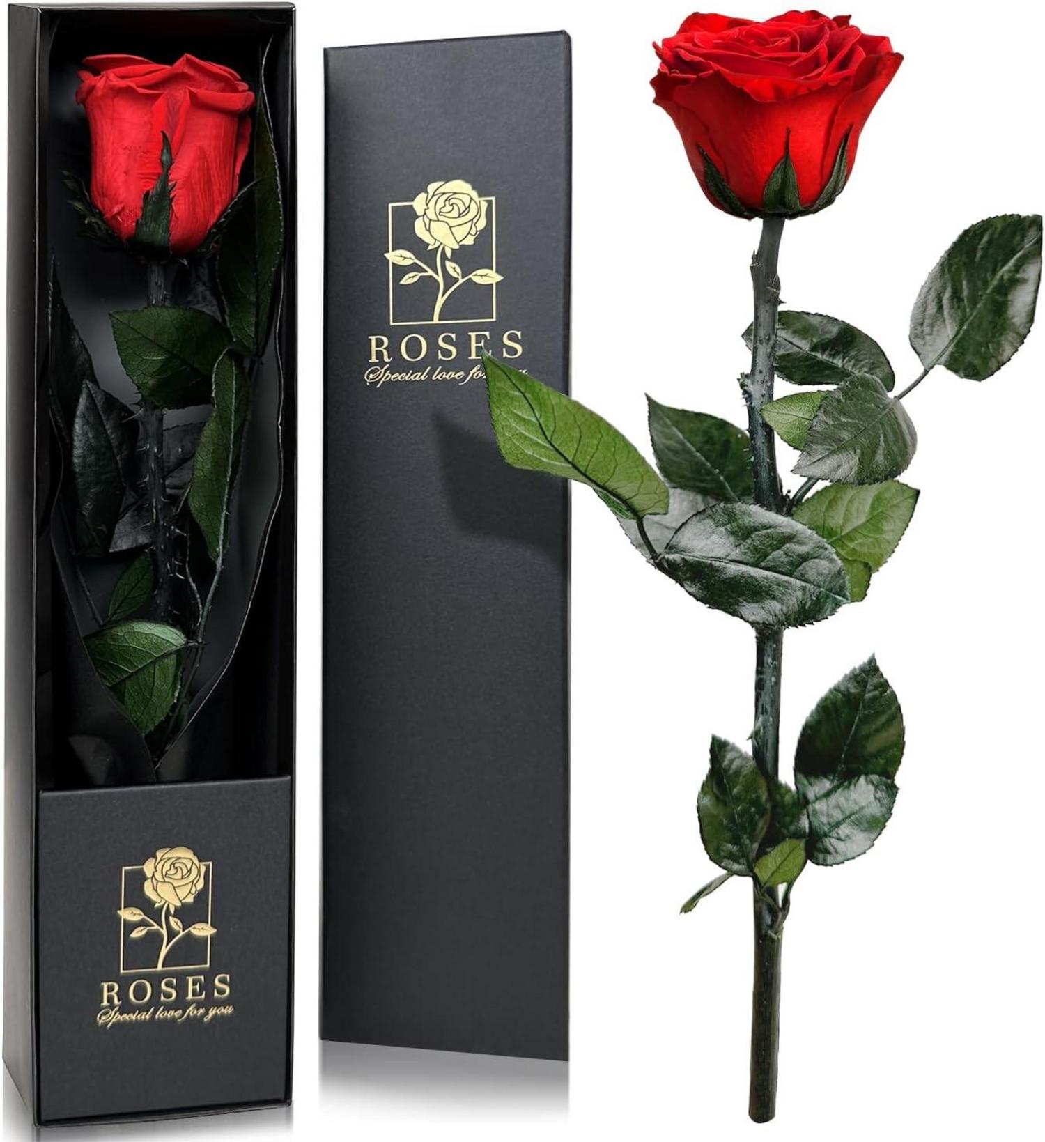 Ewige Rose in Geschenkbox Rote Infinity Rose für Frauen