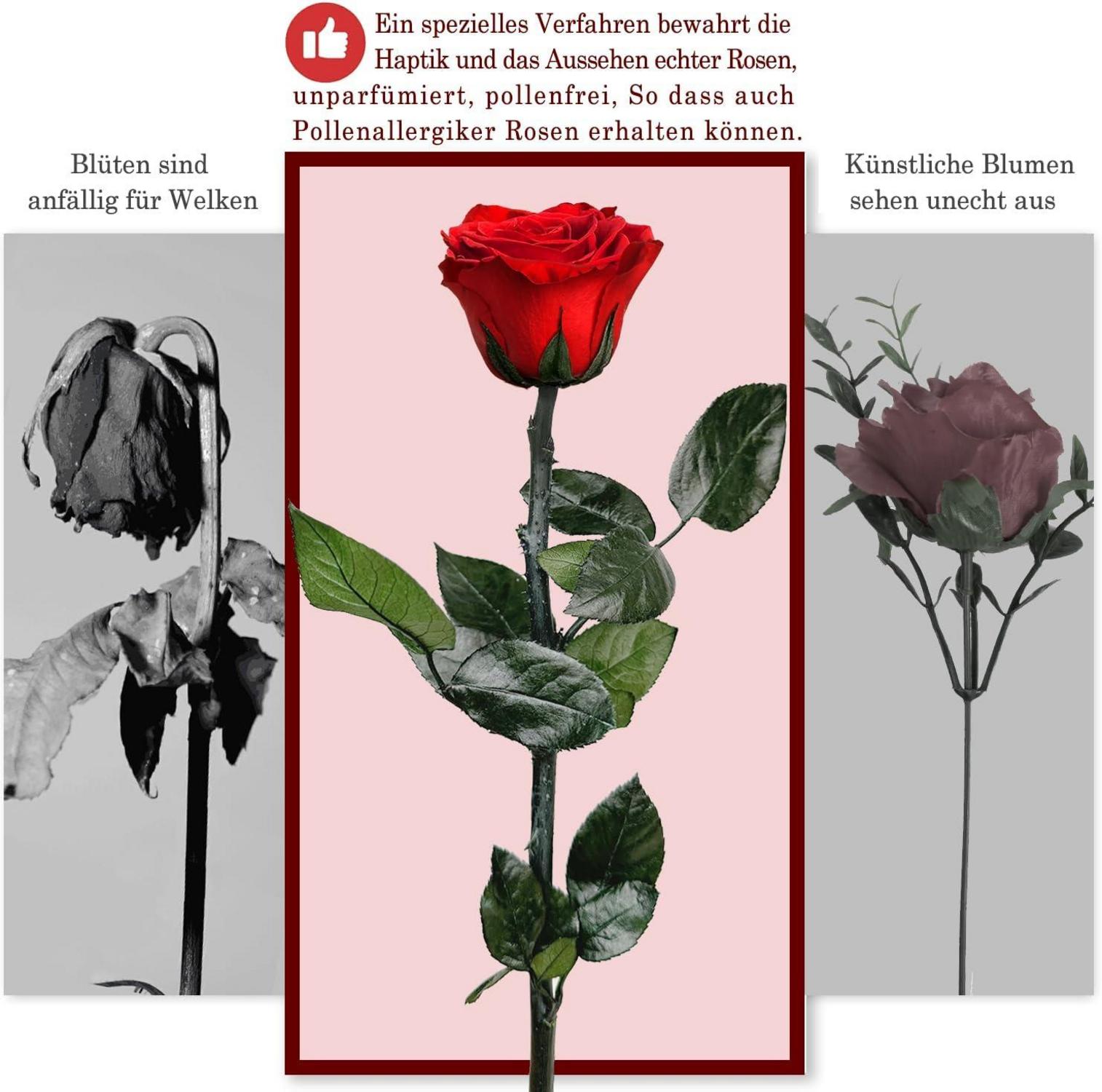 Ewige Rose in Geschenkbox mit Stiel - Rote Infinity Rose für Frauen