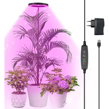 Pflanzenlampe LED Grow Lampe Vollspektrum für Zimmerpflanzen