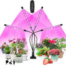 SCHWABENGRÜN Pflanzenlampe LED Grow Lampe Vollspektrum