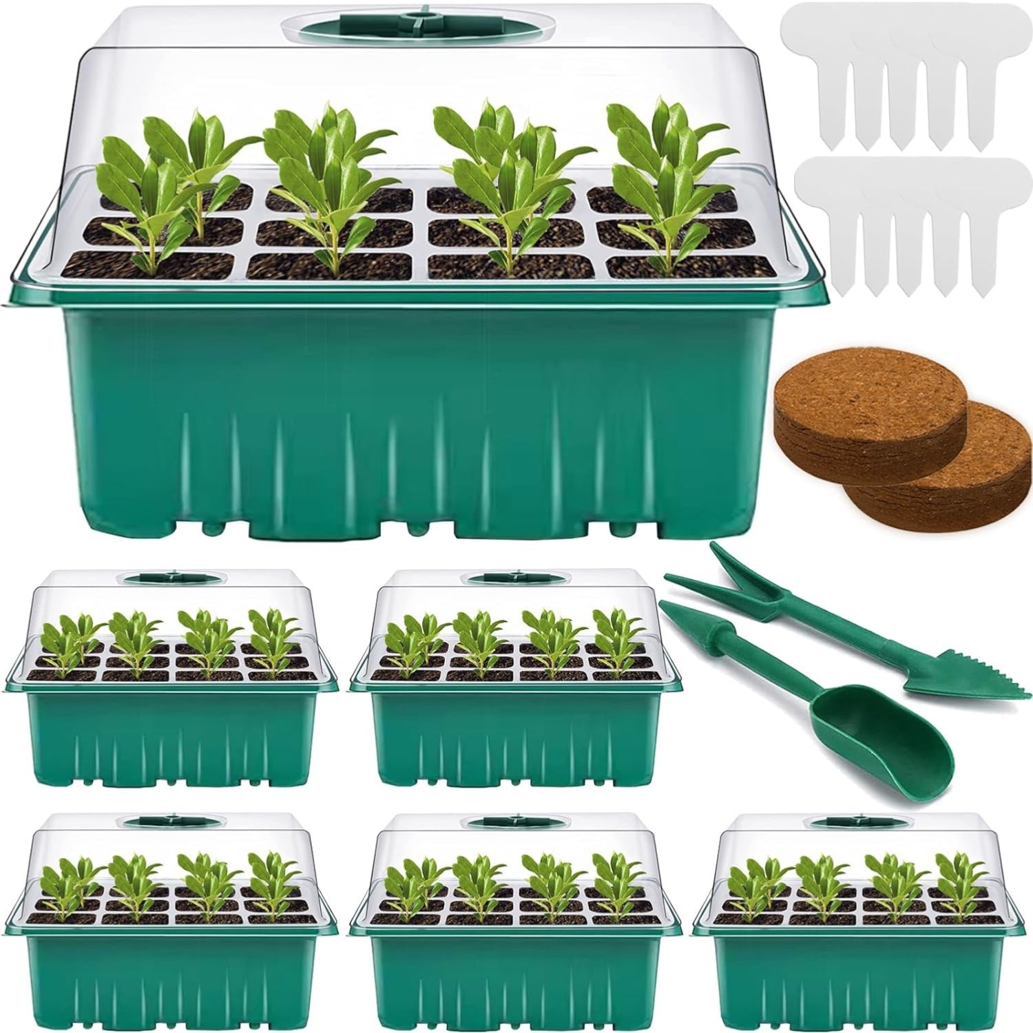 Gewächshaus Klein Indoor Gewächshaus Starter Set 6 Stück
