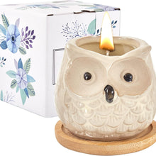 Orangen Duftkerze in Eulen Form Duftkerzen Geschenkset