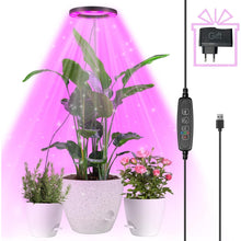 Pflanzenlampe LED Vollspektrum Grow Lampe 3 Modi Timer