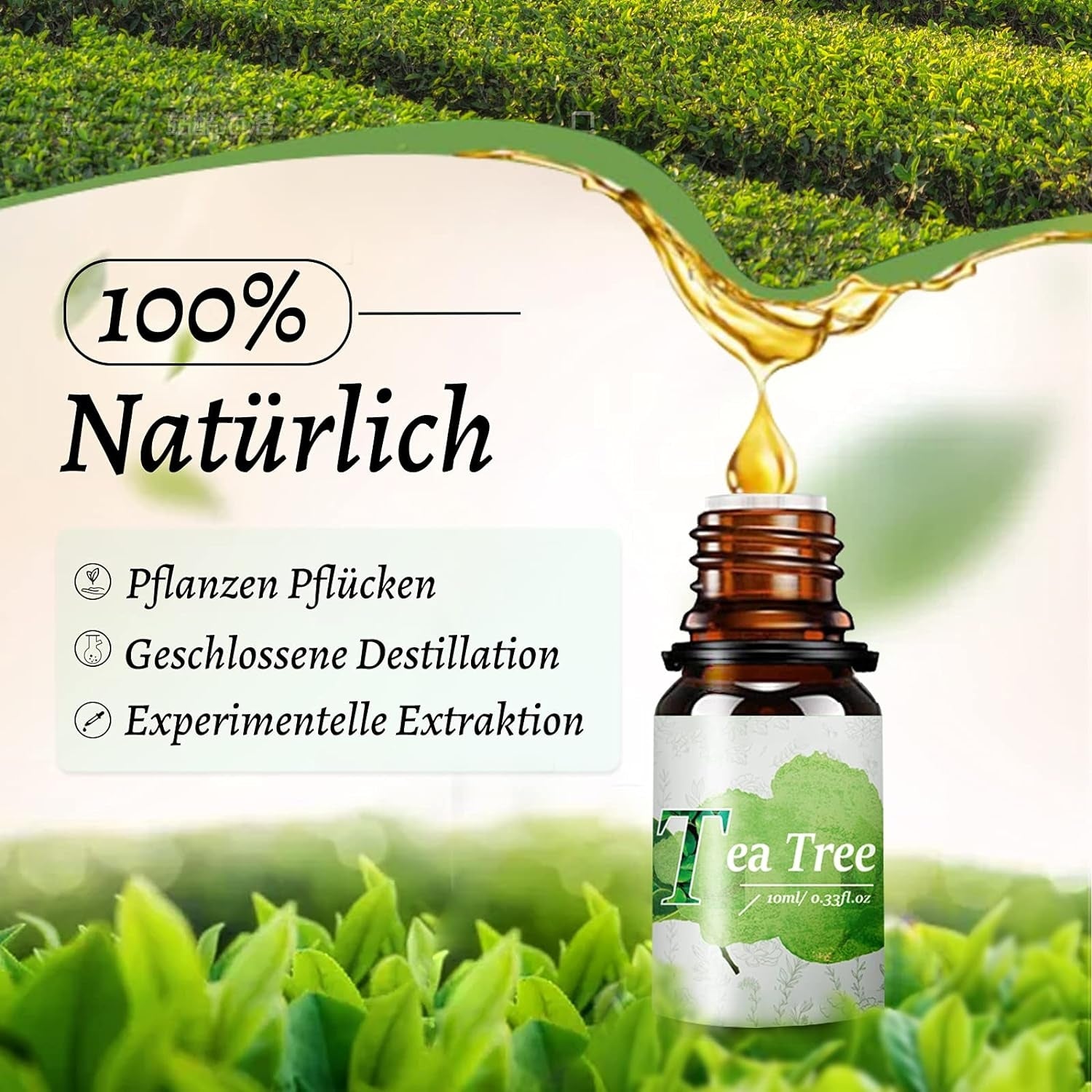 8x10ML Ätherische Öle 100% Rein Aromatherapie Geschenkset Lavendel Eukalyptus