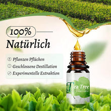 8x10ML Ätherische Öle 100% Rein Aromatherapie Geschenkset Lavendel Eukalyptus