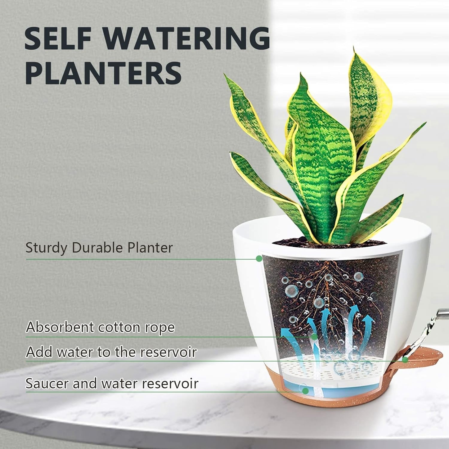 Blumentopf mit Bewässerungssystem 5x Selbstbewässerung