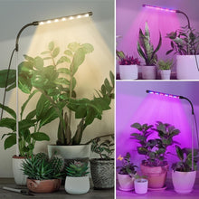 LED Grow Lampe Pflanzenlampe LED Vollspektrum USB Timer