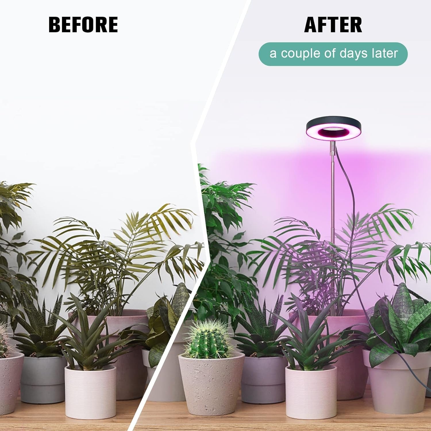 LED Grow Lampe Pflanzenlampe LED Vollspektrum 2er Set