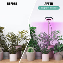 LED Grow Lampe Pflanzenlampe LED Vollspektrum 2er Set