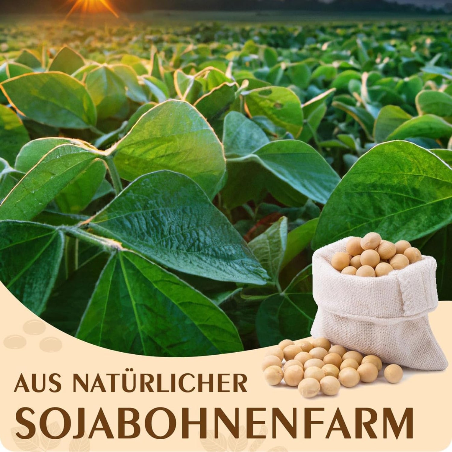Sojawachs für Kerzen 1,8kg Premium kerzenwachs zum gießen