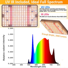 Hochwertige Pflanzenlampe LED Vollspektrum Grow Lampe UV-IR