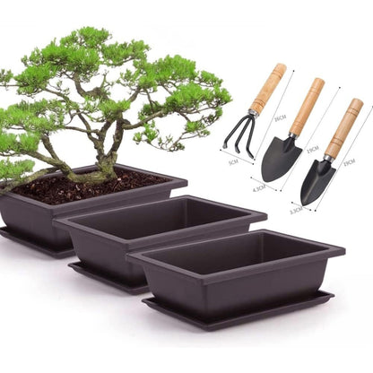 Bonsai Schale mit Untersetzer 6 Rechteckige Trainingstöpfe 3