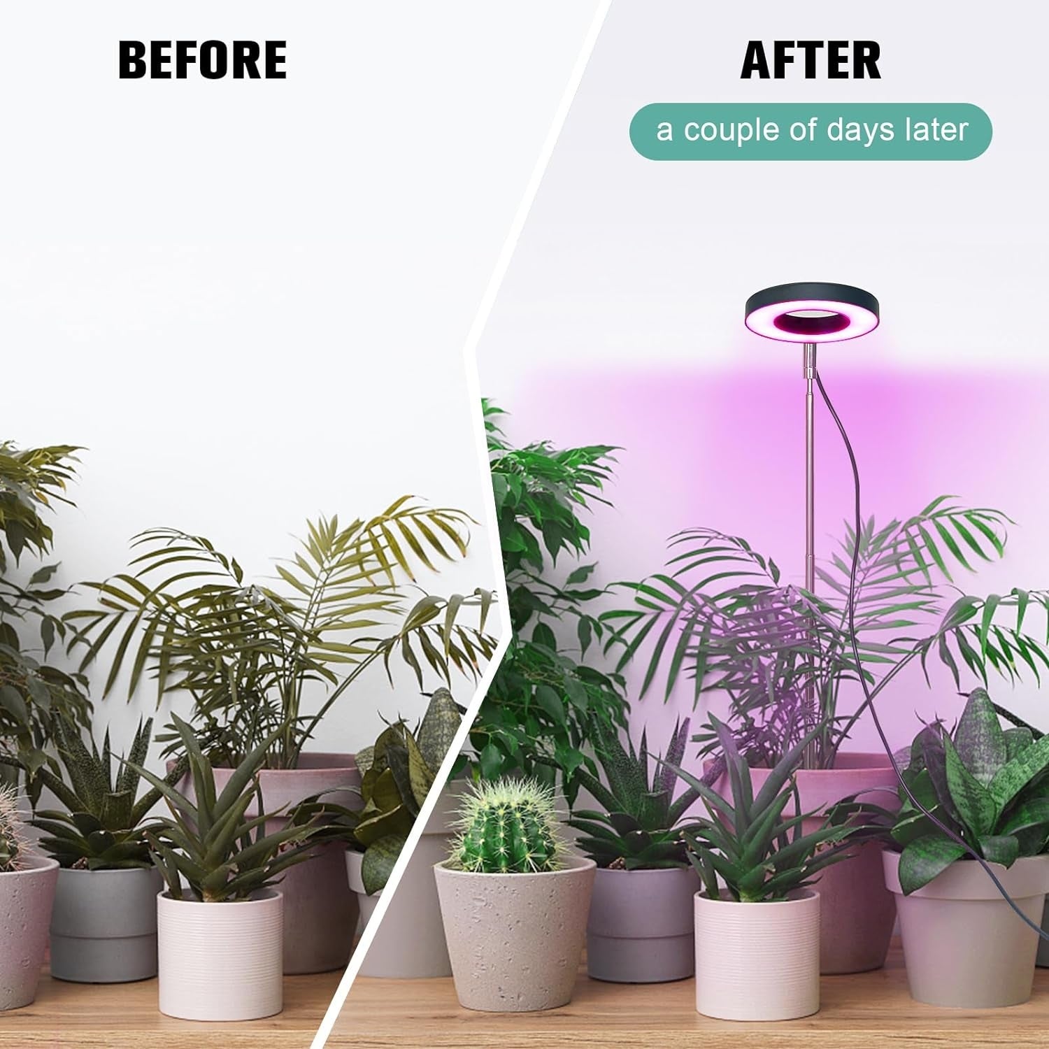 Pflanzenlampe LED Grow Lampe Höhenverstellbar Teleskopstange
