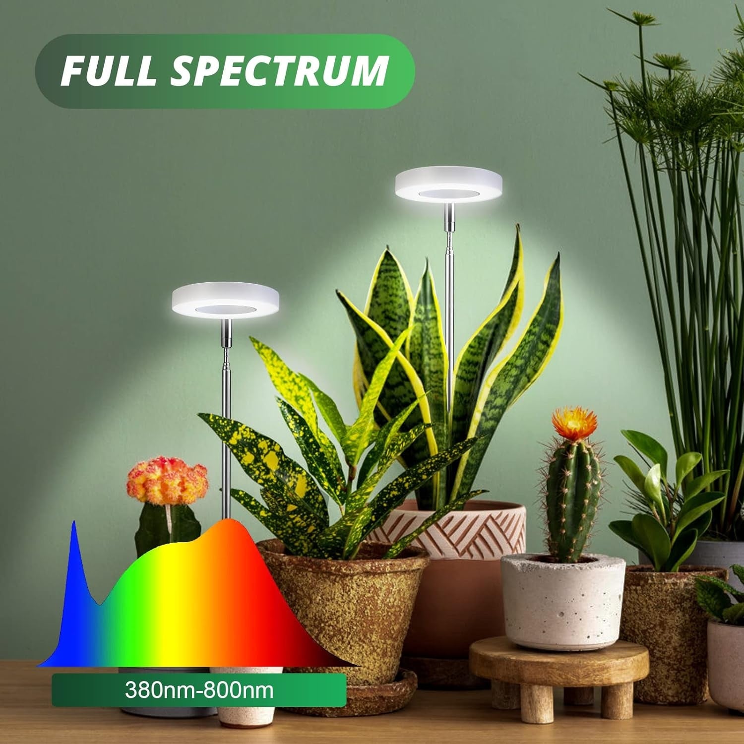 2 Stück Pflanzenlampe LED Grow Lampe Vollspektrum für Zimmerpflanzen Pflanzenlicht Pflanzenleuchte mit Timer 4 Helligkeits-Verstellbare Höhe