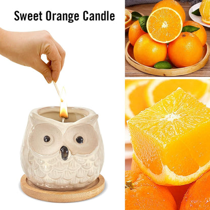 Orangen Duftkerze in Eulen Form aus 100% Sojawachs 100% Natürlich Duftkerzen Geburtstagsgeschenke Frauengeschenk Duftkerzen Geschenkset frauentag