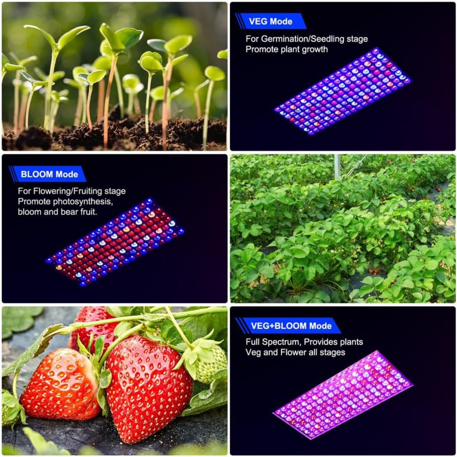 Neueste BW1000 XL Pflanzenlampe LED Vollspektrum mit UV IR, Doppelchips XL LED Grow Lampe mit 3-Meter-Kabel für Gewächshaus und Zimmerpflanzen