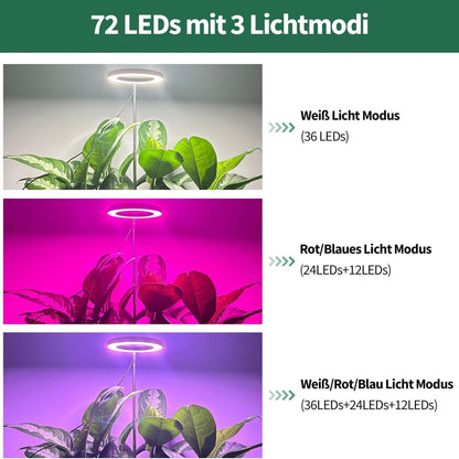 Pflanzenlampe LED Grow Lampe Vollspektrum für Zimmerpflanzen Höhenverstellbar