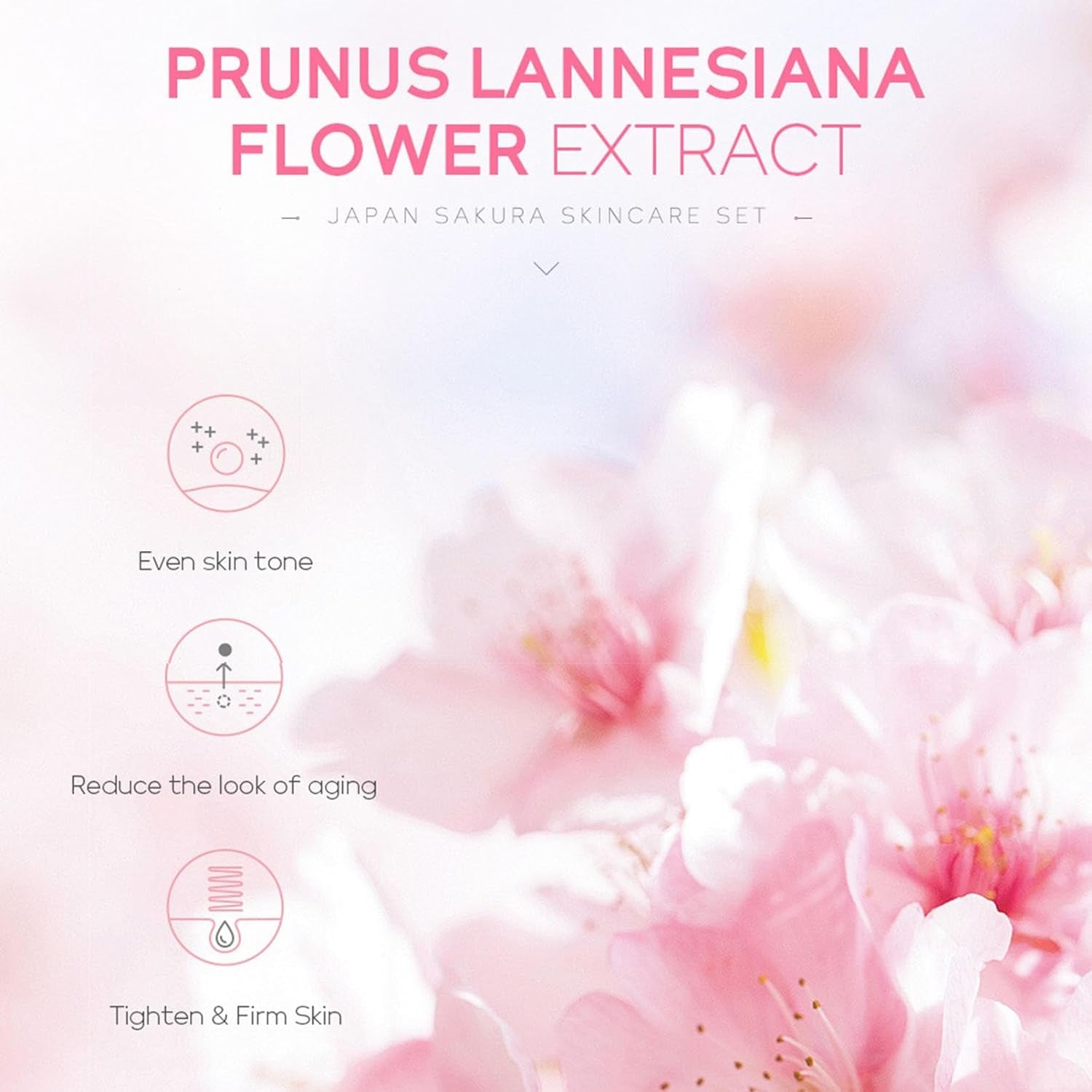 Geschenke für Frauen Sakura Hautpflege 5-teilig Set korean skincare Feuchtigkeit
