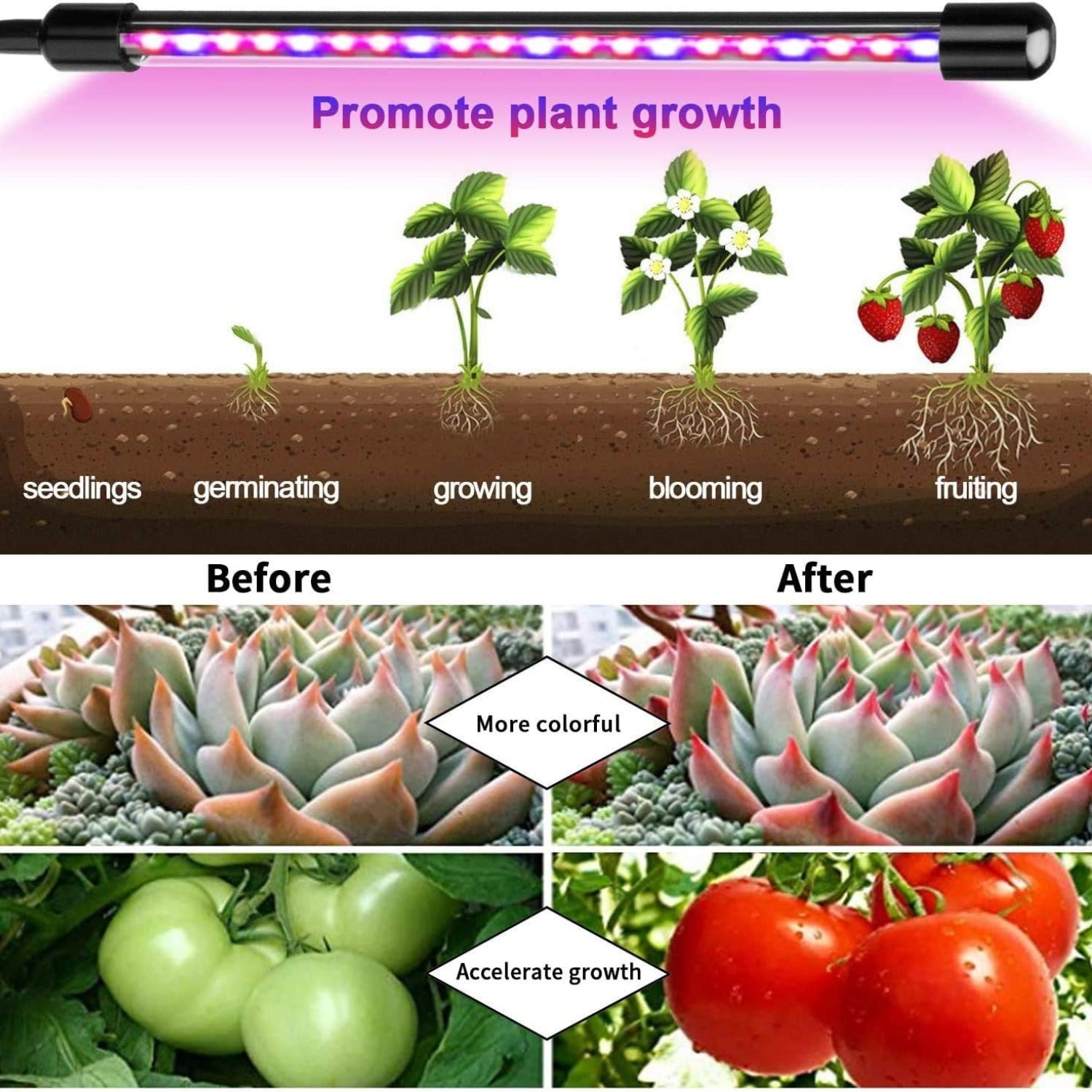 SCHWABENGRÜN Pflanzenlampe LED Grow Lampe Vollspektrum