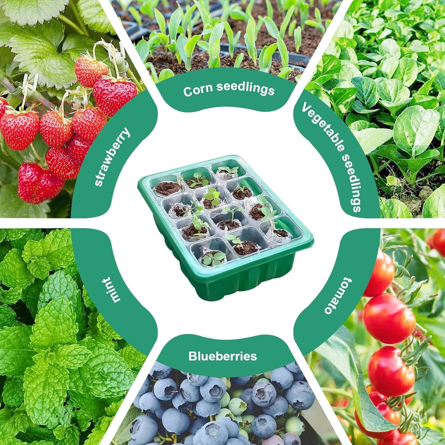 Growbox Komplettset mit Pflanzenlampe 5 Stück Zimmergewächshaus