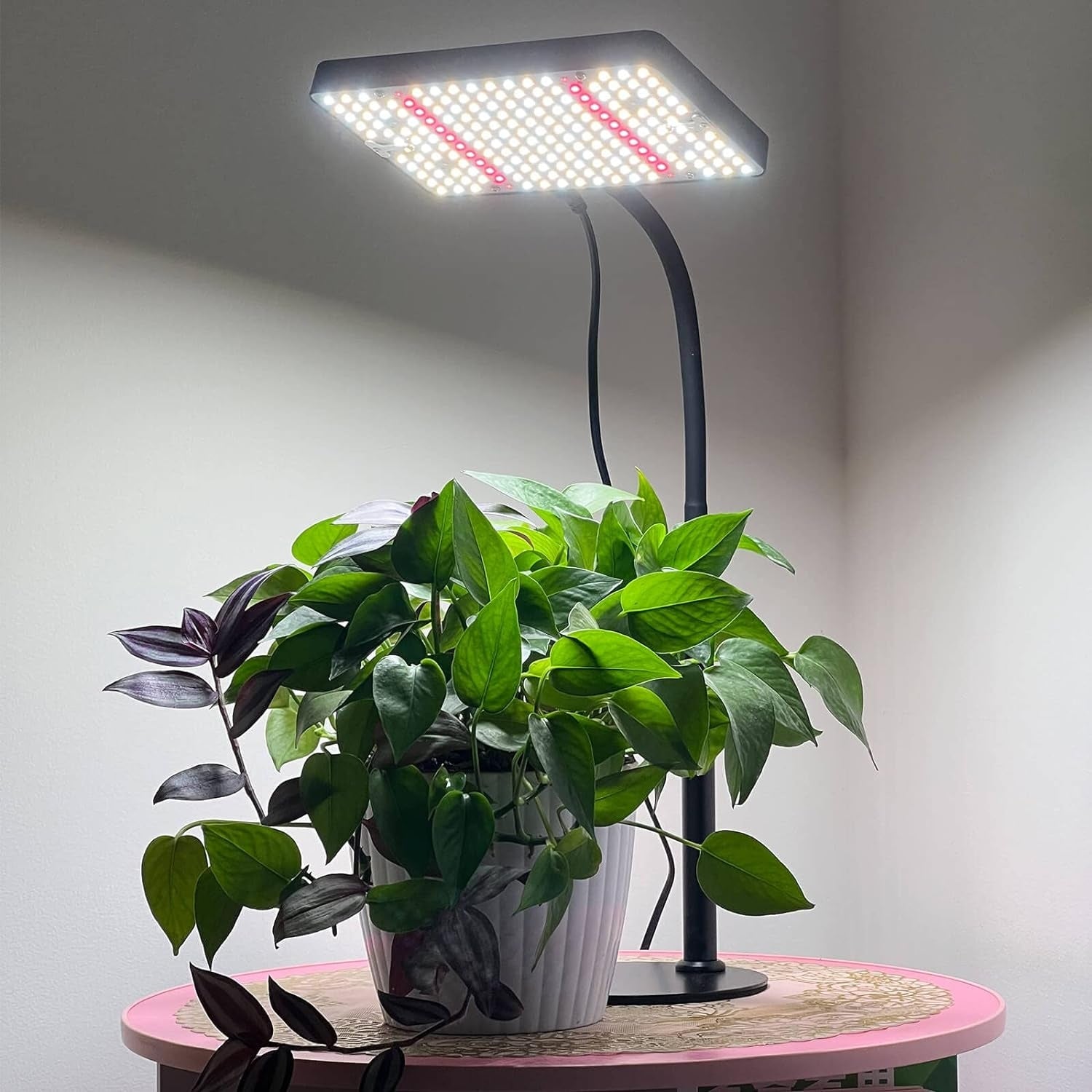 Hochwertige Pflanzenlampe LED Vollspektrum Grow Lampe UV-IR Licht