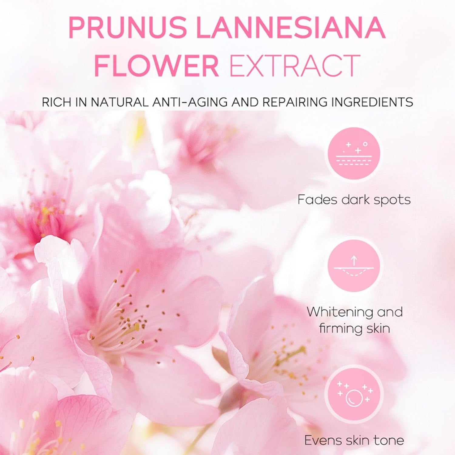 Sakura Gesichtspflege Set Reiseset 4-teilig mit Cleanser Toner Gesichtscreme Sonnencreme SPF50+ für Teenager und Frauen Geschenkset für Reisen