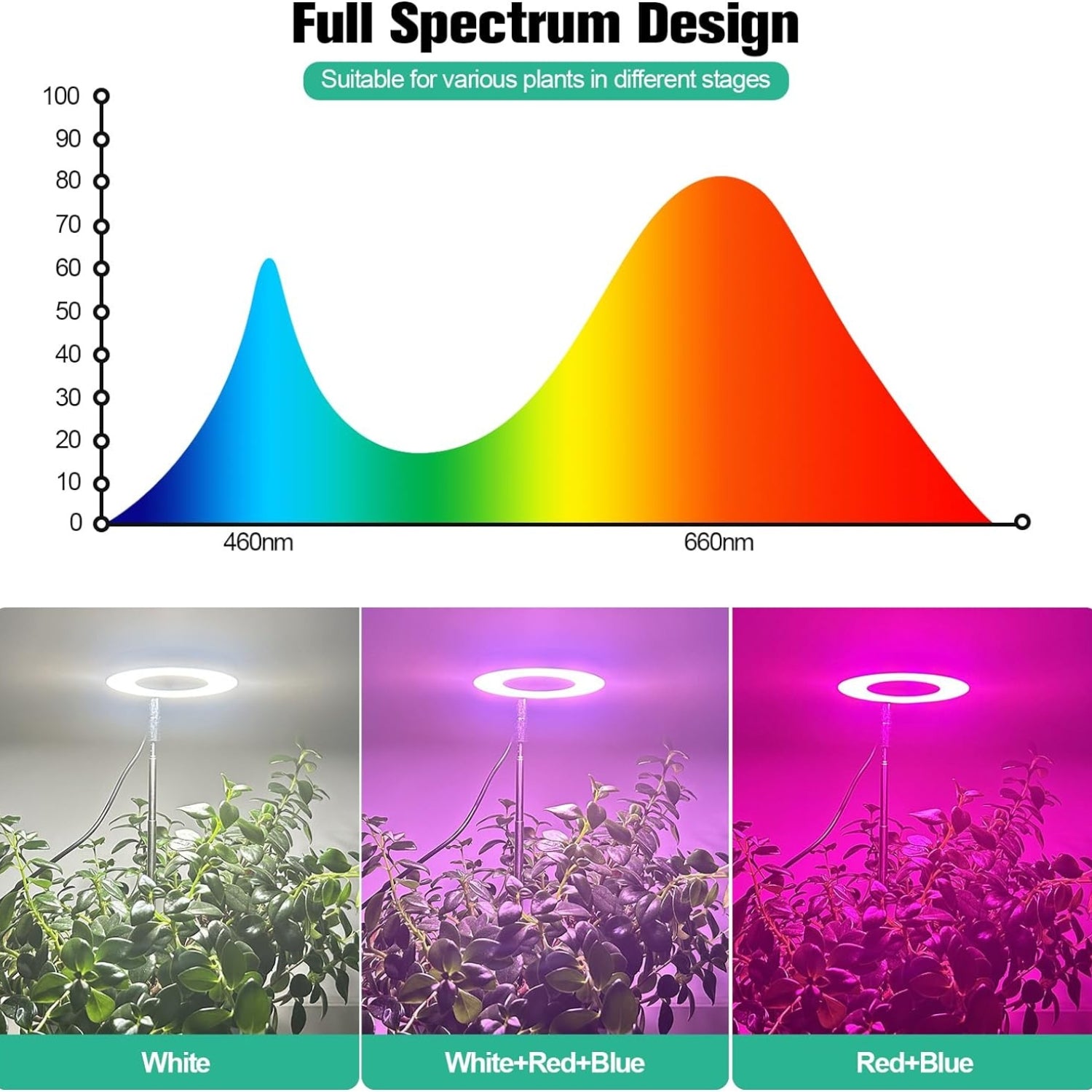 Pflanzenlampe LED Grow Lampe Easy Install Höhenverstellbar Teleskopstange