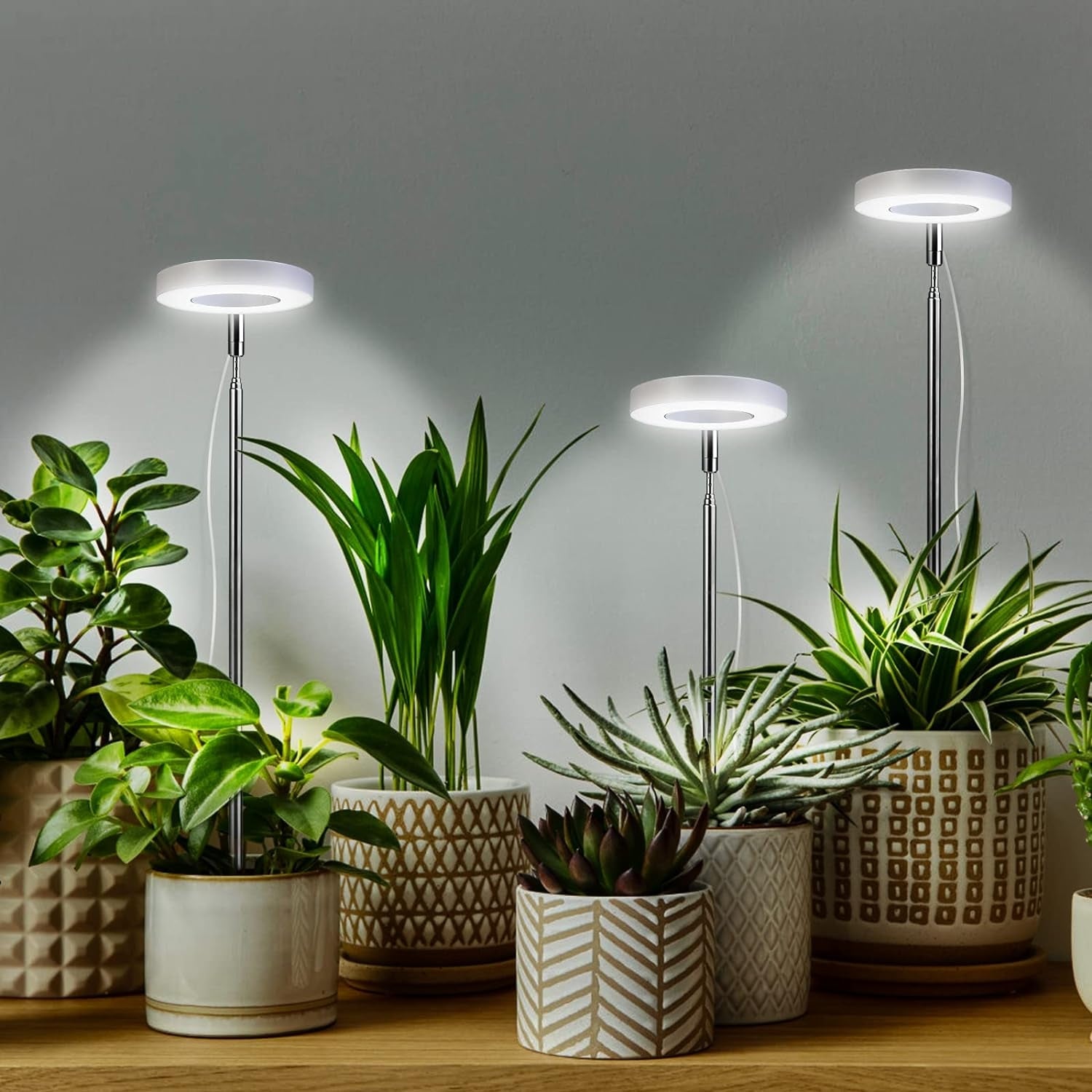 2 Stück Pflanzenlampe LED Grow Lampe Vollspektrum für Zimmerpflanzen Timer