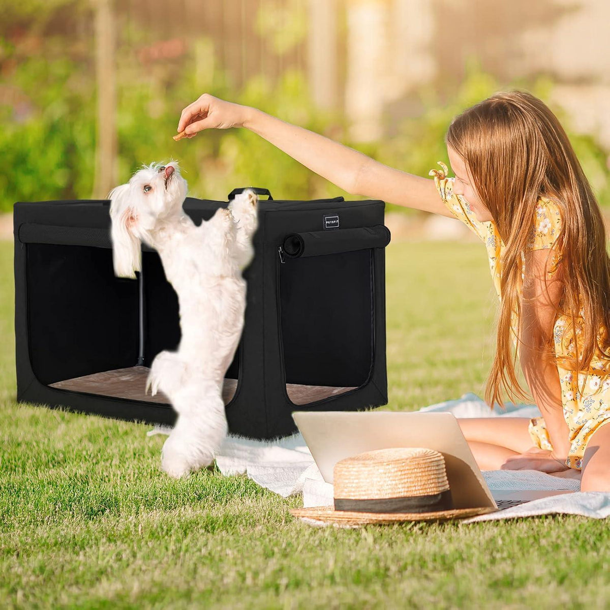 Faltbare Hundebox L – Bequem, Sicher & Platzsparend
