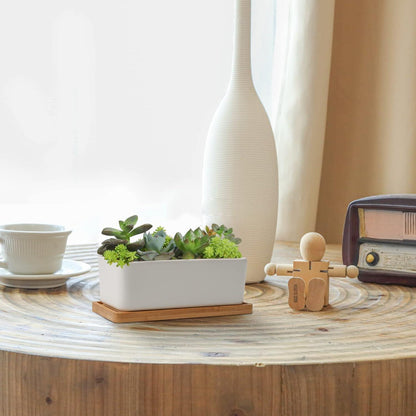 T4U 16.5CM Keramik Sukkulenten Töpfe Kaktus Pflanze Blumentöpfe Weiß 2er Set