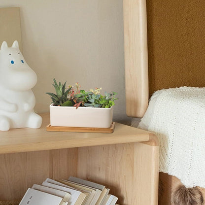 T4U 16.5CM Keramik Sukkulenten Töpfe Kaktus Pflanze Blumentöpfe Weiß 2er Set