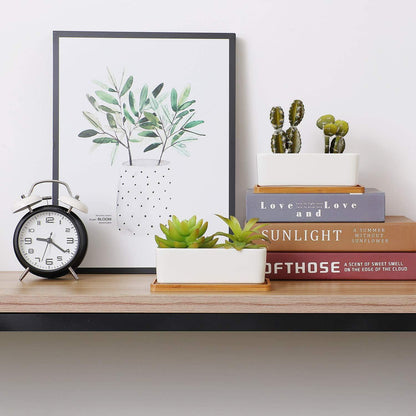 T4U 16.5CM Keramik Sukkulenten Töpfe Kaktus Pflanze Blumentöpfe Weiß 2er Set