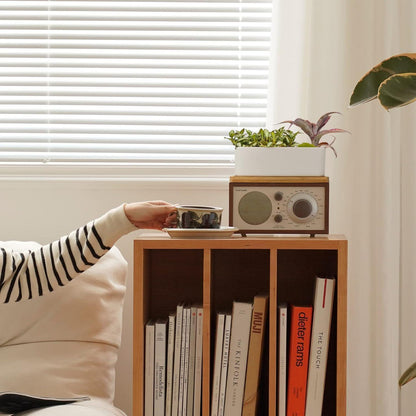 T4U 16.5CM Keramik Sukkulenten Töpfe Kaktus Pflanze Blumentöpfe Weiß 2er Set