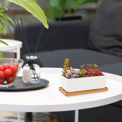 T4U 16.5CM Keramik Sukkulenten Töpfe Kaktus Pflanze Blumentöpfe Weiß 2er Set