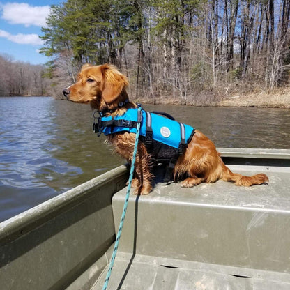 Ripstop Hunde Rettungsweste für Kleine Mittel Große Hunde Blau