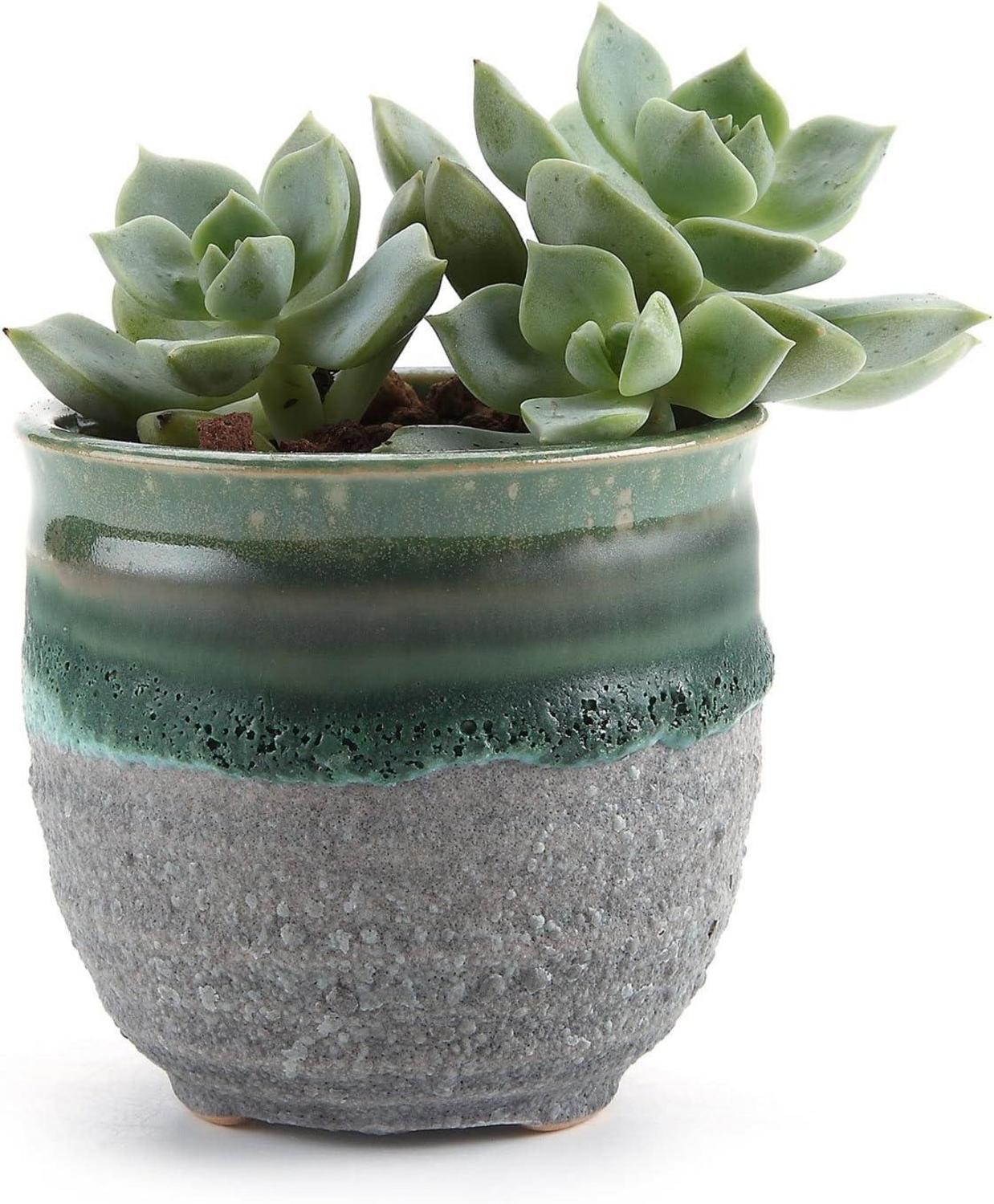Keramik Blumentopf 7 cm Sukkulenten Kaktus Pflanze Keramiktopf, Grün, 3 Stück