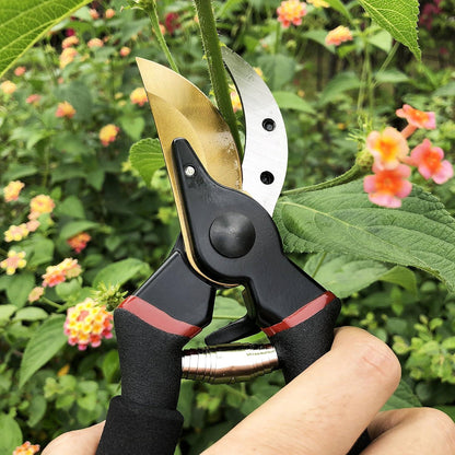 Gartenschere Titan beschichtet SK5 Stahl Rebschere (GPPS-1003) Bypass Rosenschere