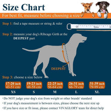 Schwimmweste für Hunde mit