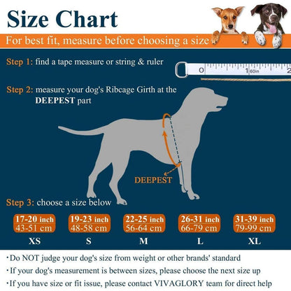 Schwimmweste für Hunde mit