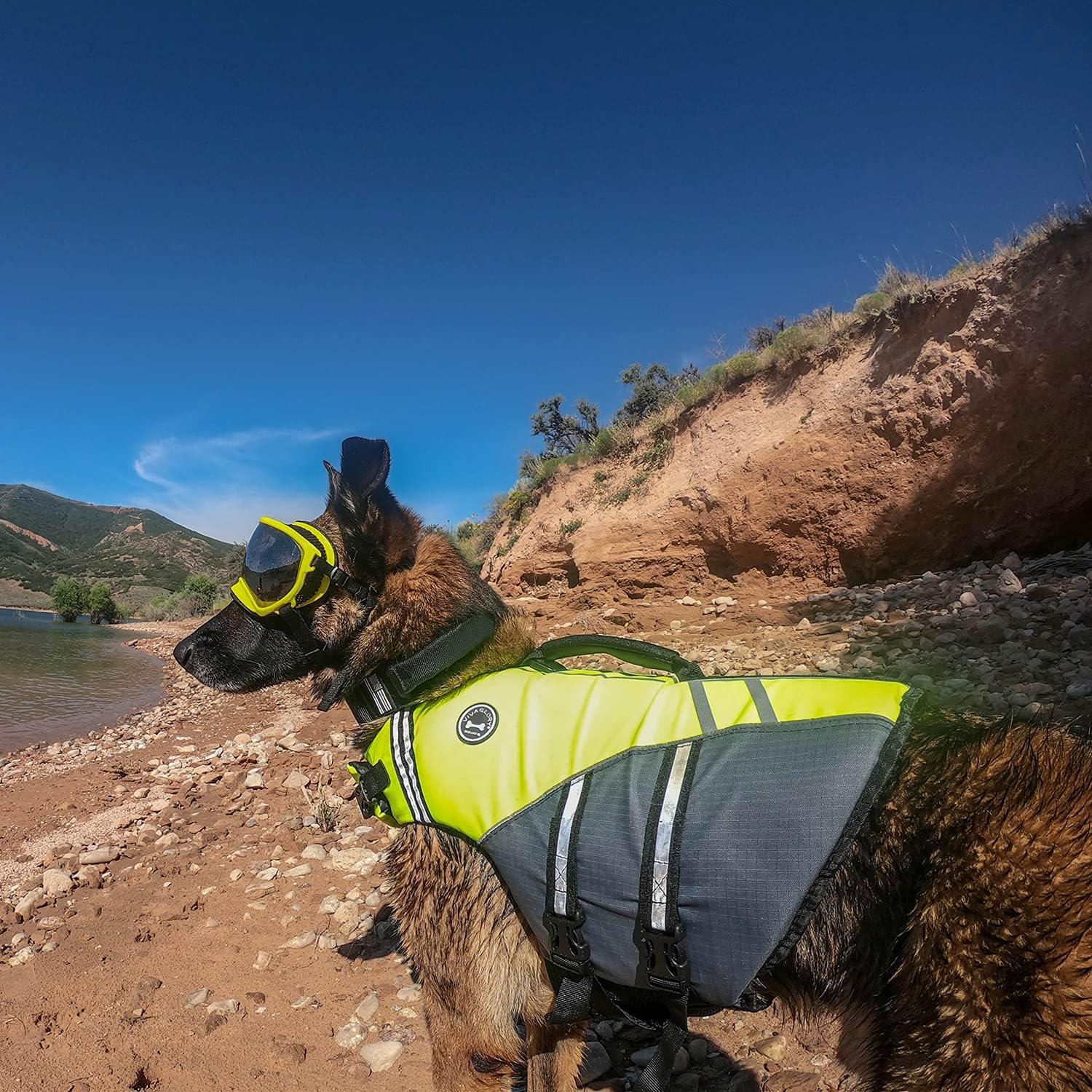 Hunde Schwimmweste Neon-Gelb - Sicher, Einstellbar, Langlebig