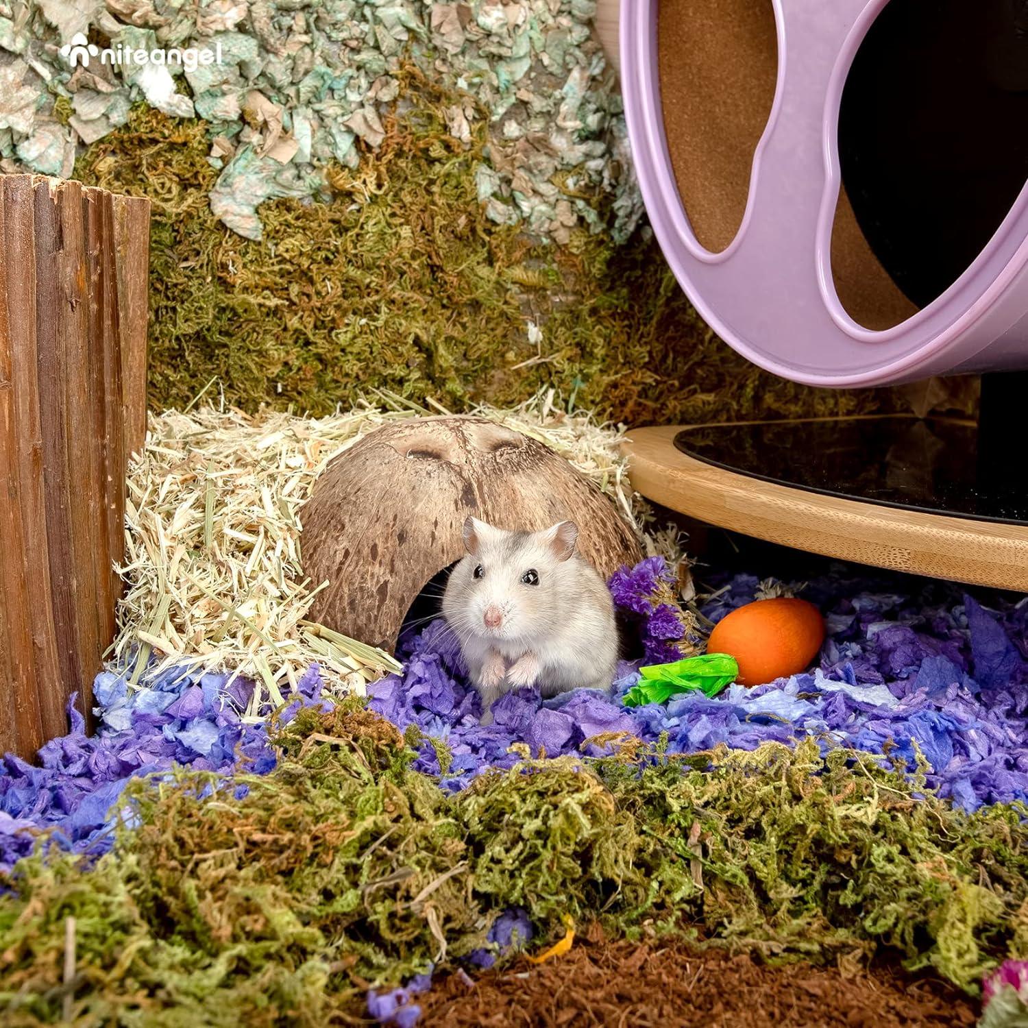 2er Pack Natürliche Kokosnuss Verstecke Reptilien Aquarium