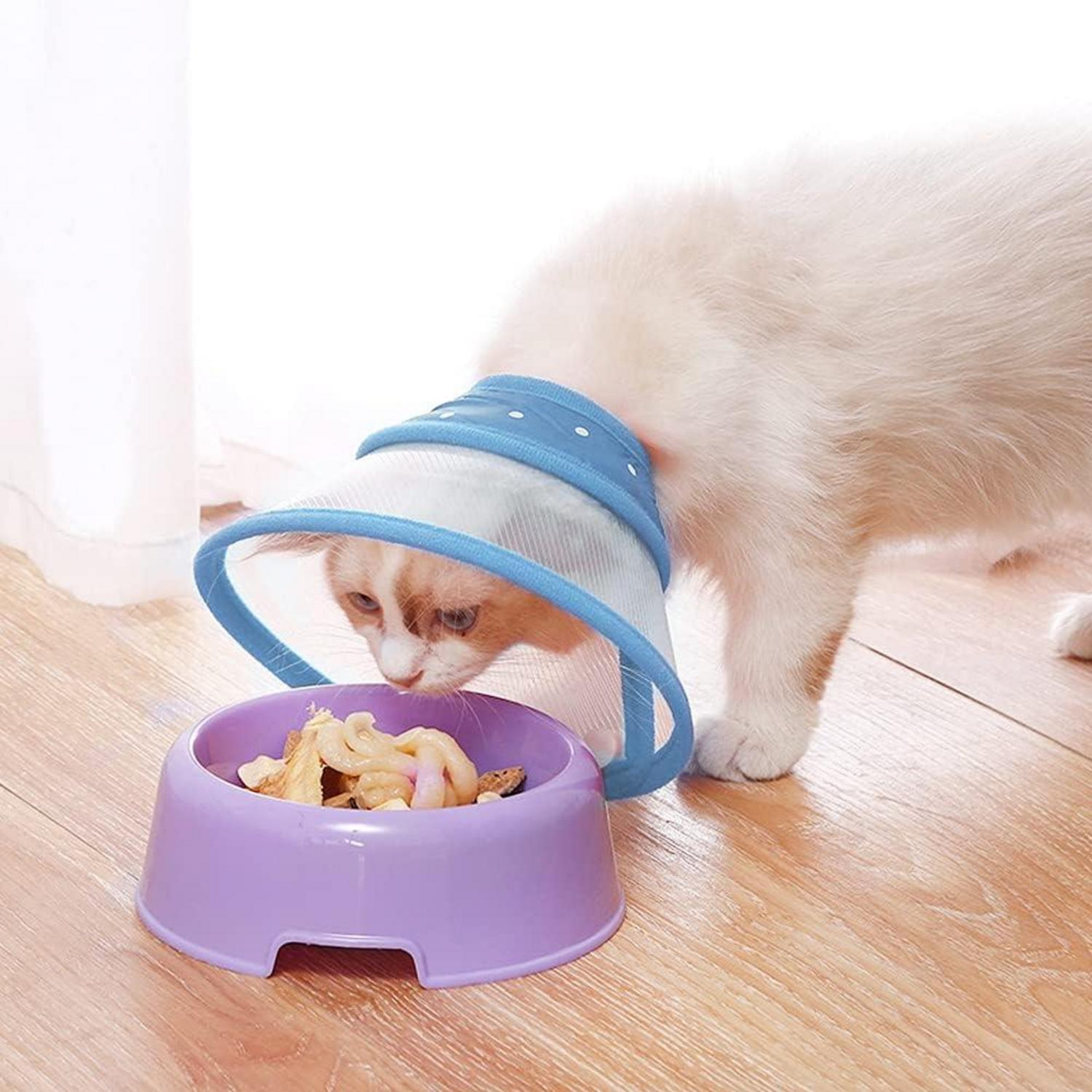 Vivifying Halskrause Katze verstellbar 14,5-20,3 cm Leicht Schutzkragen Blau-M