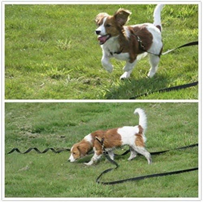 Schleppleine für Hunde 10m Nylon Schwarz Karabiner Training