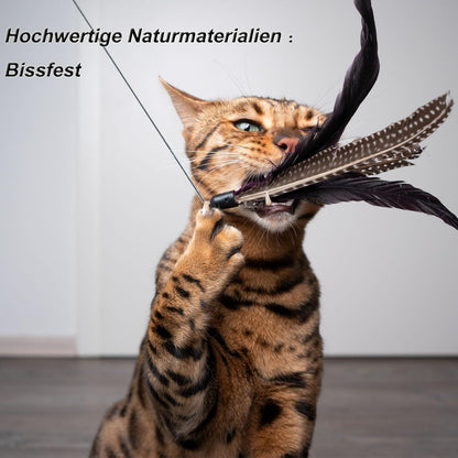 MAIYADUO Katzenspielzeug Feder Natur Glocke 5 Feder