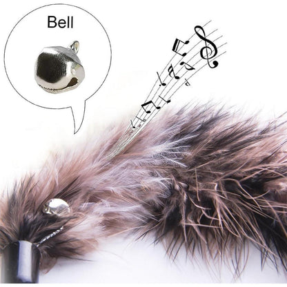 MAIYADUO Katzenspielzeug Feder Natur Glocke 5 Feder