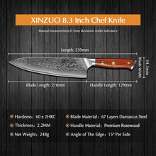 21cm Damaskus Kochmesser 67 Schichten Damaststahl Gyuto Profi