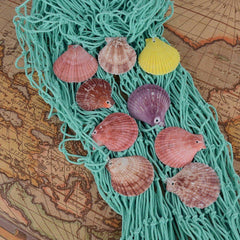 Fischernetz Deko Muscheln Aufhängen 150x200cm Maritime Wand Wohnzimmer