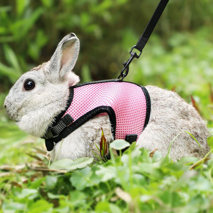Verstellbares Kaninchen Geschirr und Leine für kleine Tiere - Rosa L